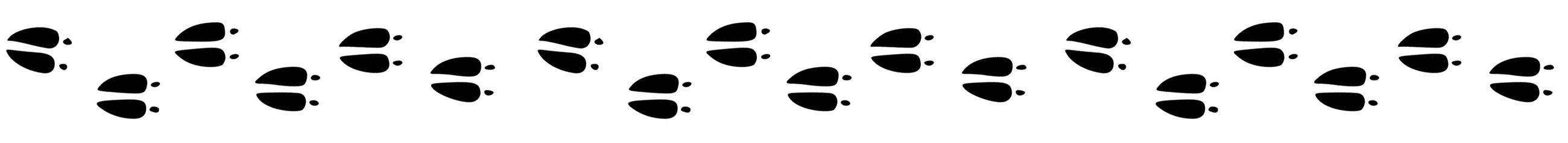 Moose Prints