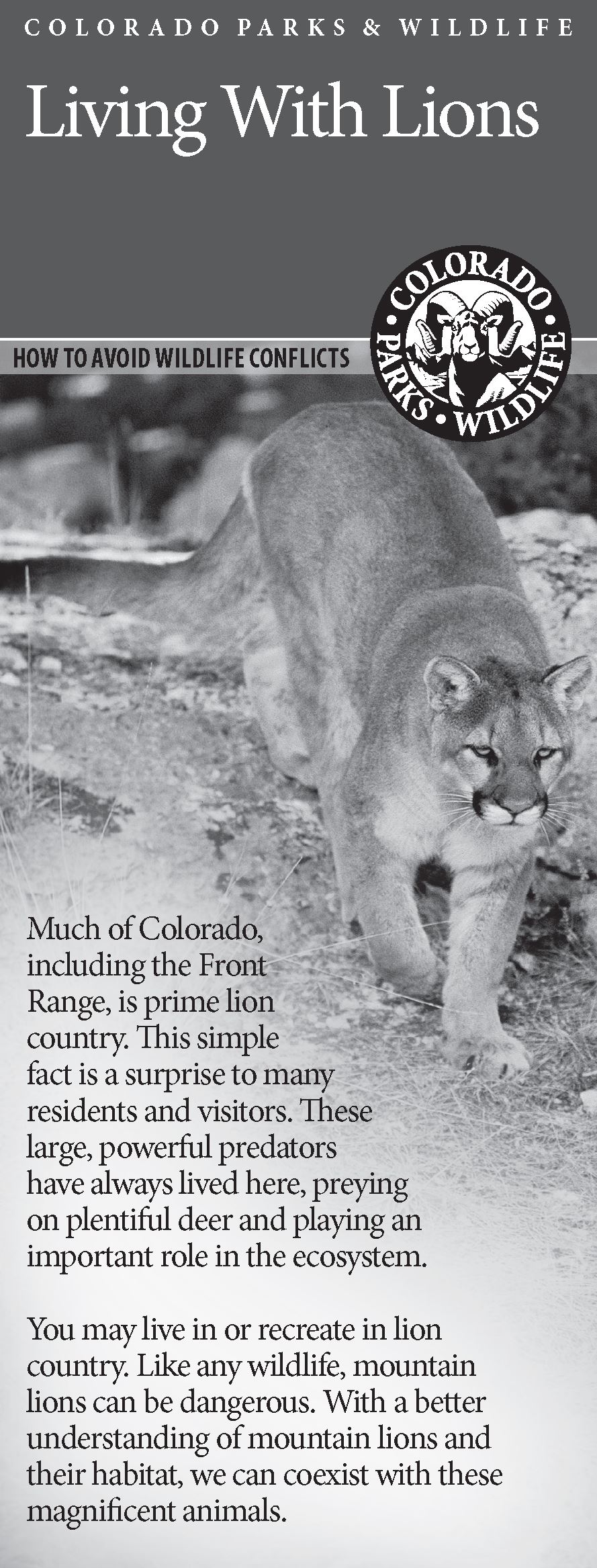LivingWithLions-1