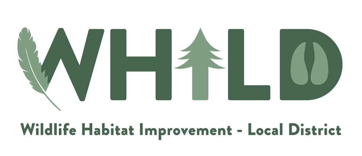 WHILD Logo in color